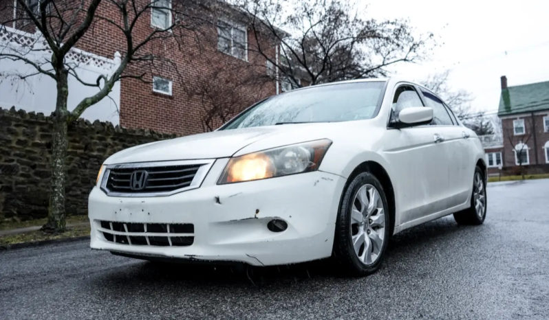 2008 Honda Accord Sdn 4dr V6 Auto EX-L full